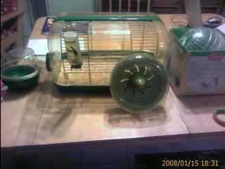 Cage Hamster