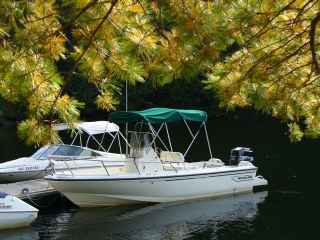 BOSTON WHALER