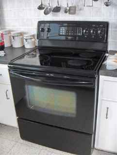 self cleaning convection stove