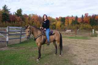 Cheval Quarter Horse à vendre