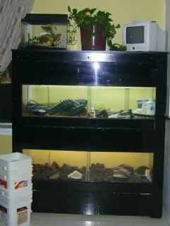 aquariums et meuble