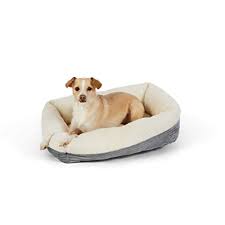 Nettoyage de matelas chien et chats 